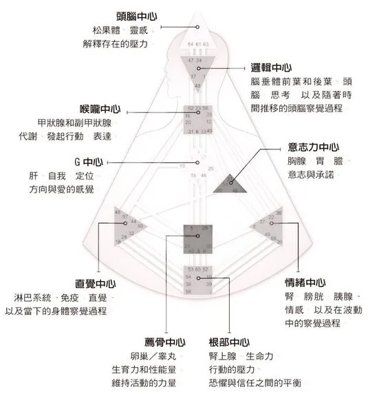 什麼是人類圖? 跟MBTI 有什麼不同?超詳細人類圖解析出爐