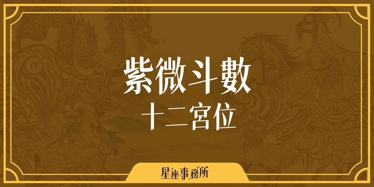 紫微斗數12宮位揭秘!搞懂這些,人生就可以少走冤枉路!