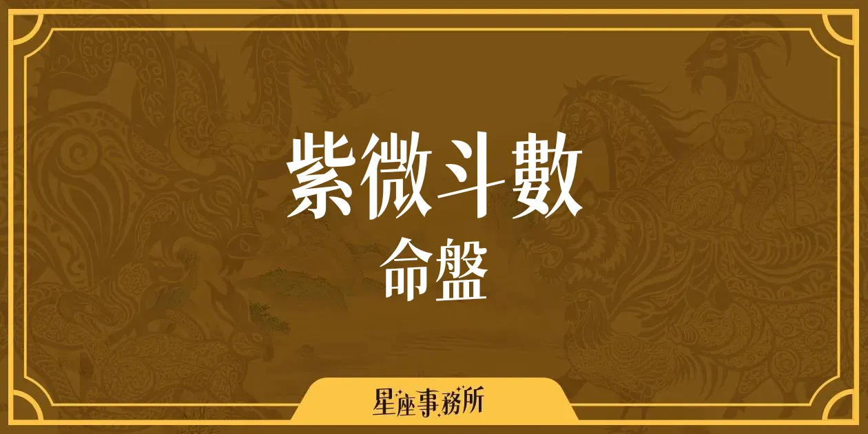 如何看懂自己的紫微斗數命盤？新手入門最簡單的解盤指南！